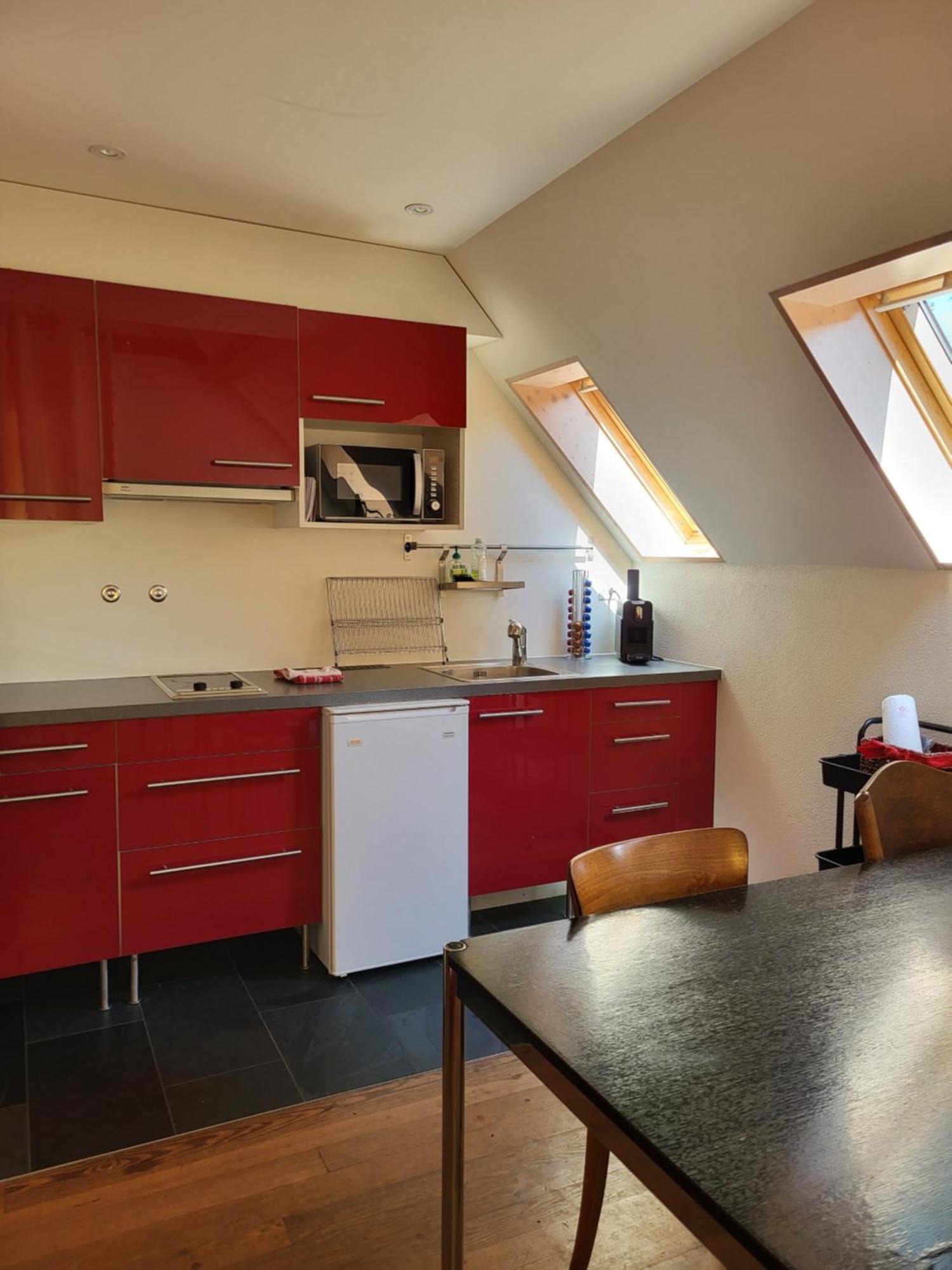 Bridler Remise Apartment Winterthur